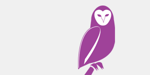 Transfer Alberta Search