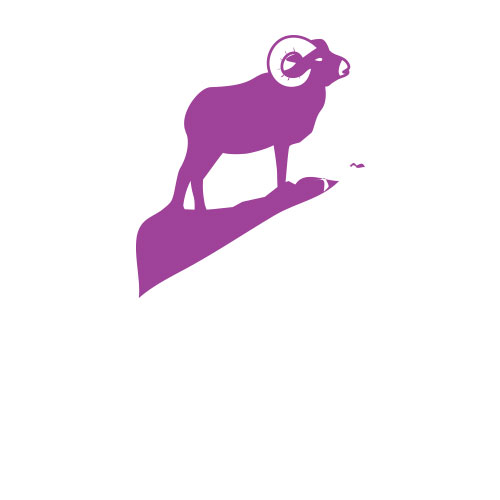 LPS Training Resources